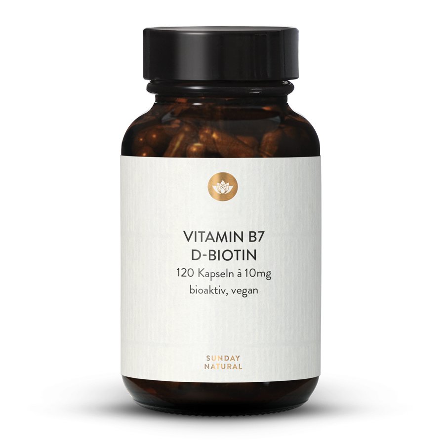 Énergie & Performances