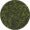Bancha