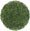 Shincha