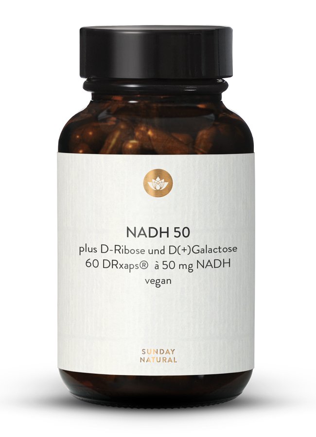 NADH <br> 50
